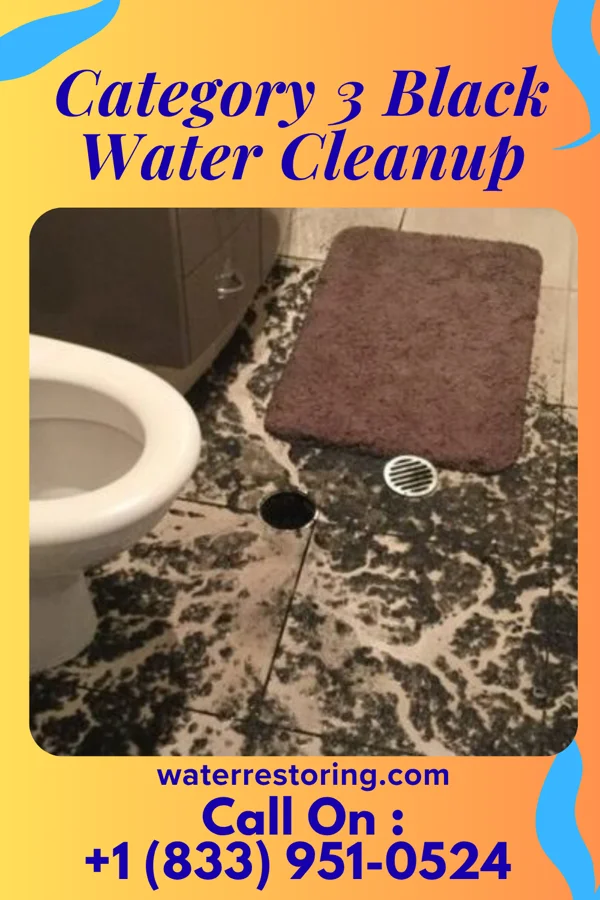 Category 3 Black Water Cleanup in Dumas, MS
