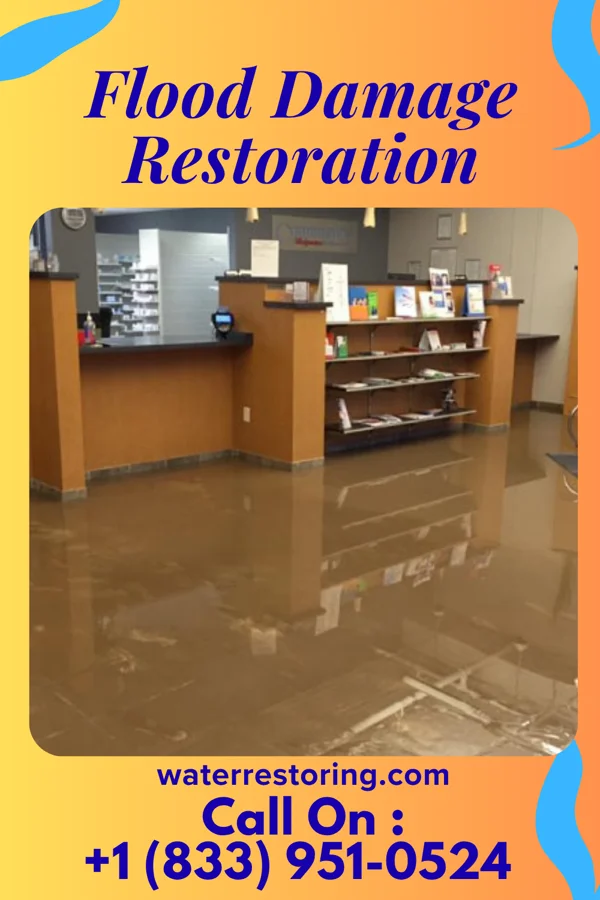 Flood Damage Restoration in Dumas, MS