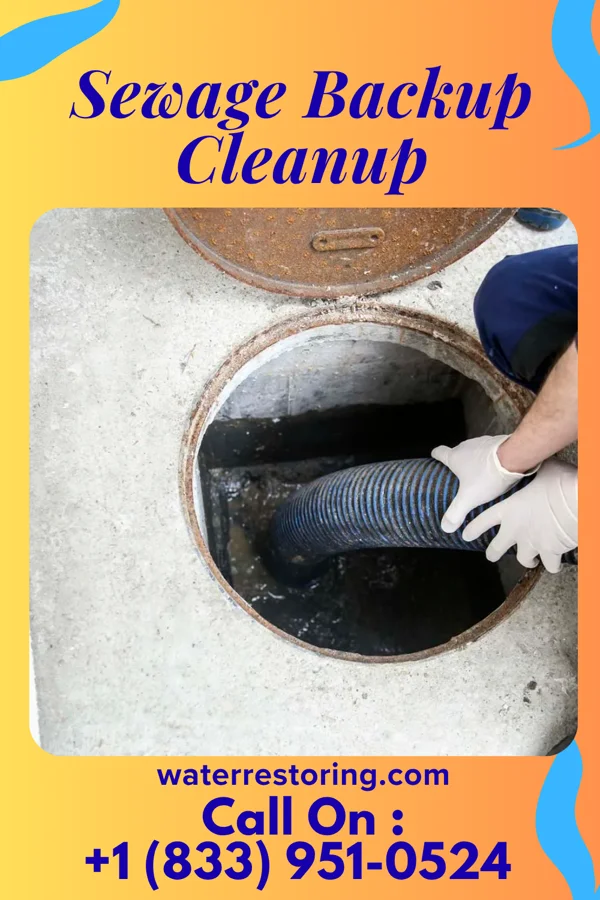 Sewage Backup Cleanup in Dumas, MS